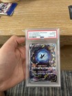 Lumineon V
