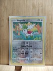 Shaymin