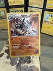 Team Magma's Aggron