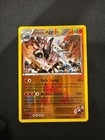 Team Magma's Aggron