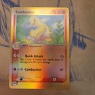 Combusken