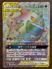 Gengar & Mimikyu GX