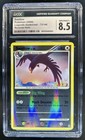 Swellow