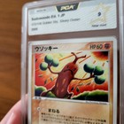 Sudowoodo
