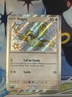 Pidgey