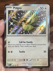 Pidgey