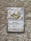 Pidgey