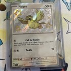 Pidgey