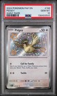 Pidgey
