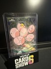 Exeggcute