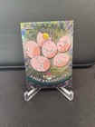 Exeggcute