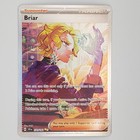Briar