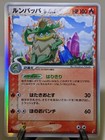 Ludicolo