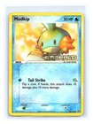 Mudkip