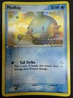 Mudkip