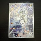 N's Reshiram