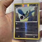 Chatot