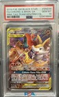 Charizard & Braixen GX