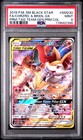 Charizard & Braixen GX