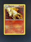 Rapidash