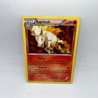 Rapidash