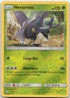Heracross