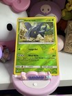 Heracross