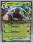 Torterra ex