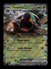 Torterra ex