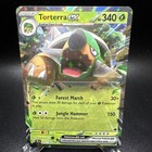 Torterra ex