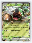 Torterra ex