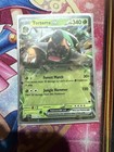 Torterra ex