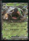 Torterra ex