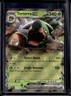 Torterra ex
