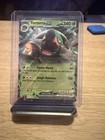 Torterra ex