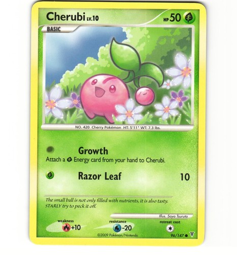 Cherubi
