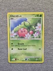 Cherubi