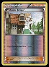 Professor Juniper