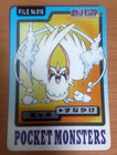 Pidgey