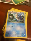 Frogadier