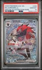 N's Zoroark ex