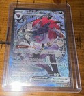 N's Zoroark ex