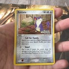 Rattata