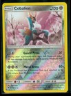 Cobalion