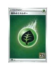 Grass Energy