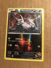 Team Magma's Poochyena