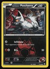 Team Magma's Poochyena