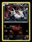 Team Magma's Poochyena
