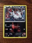 Team Magma's Poochyena