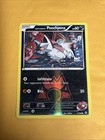 Team Magma's Poochyena